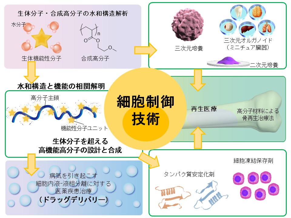 研究内容 – 田中賢研究室